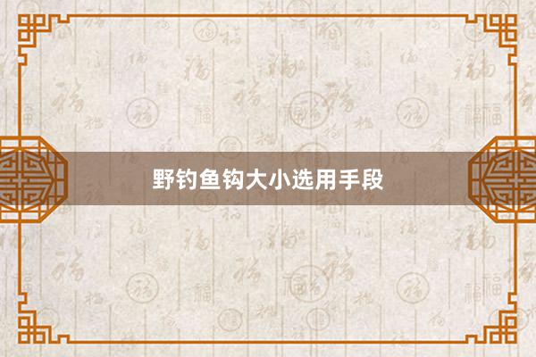 野钓鱼钩大小选用手段